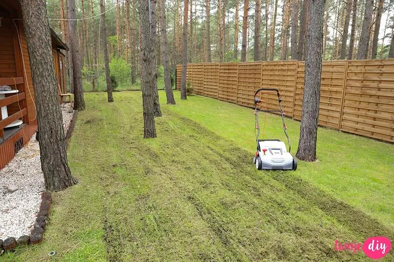 Jak skutecznie wertykulować trawnik: najlepsze metody i narzędzia