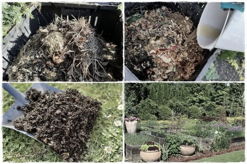 Kiedy warto używać kompostu na trawnik, aby cieszyć się pięknym ogrodem?
