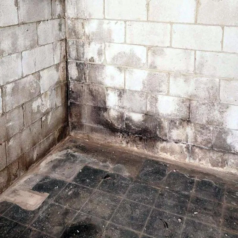 Skuteczne metody na to, jak usunąć wilgoć z piwnicy i poprawić jej stan