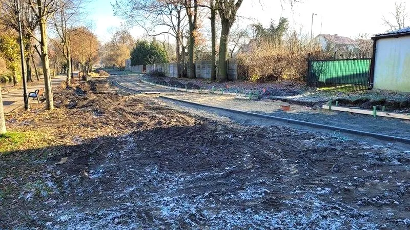 Zielone oazy: jakie rośliny wybrać na zacieniony taras?