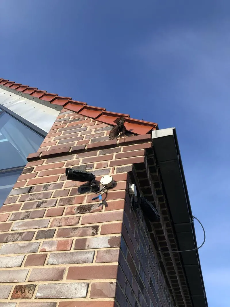 Humanitarne sposoby eliminacji