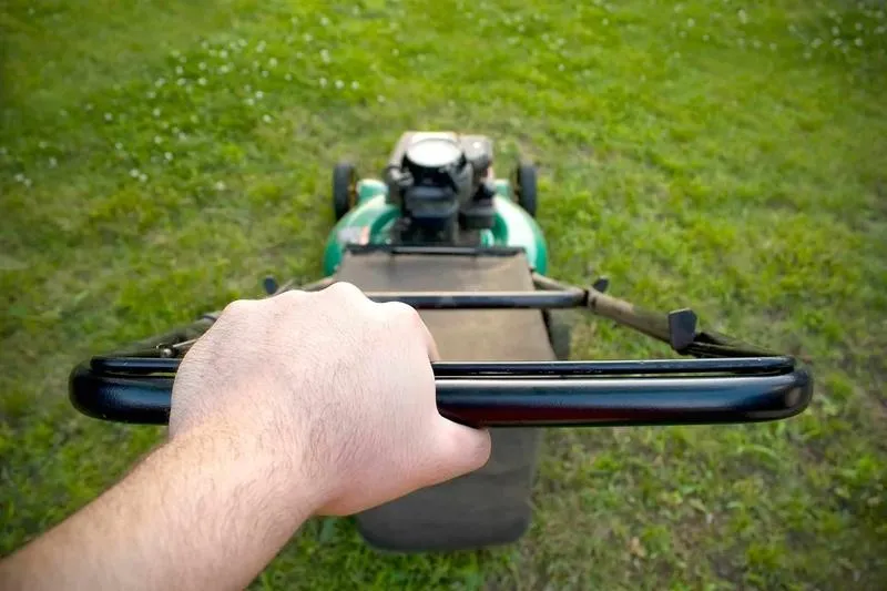 Przepisy prawne dotyczące koszenia